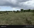 Shamba Linauzwa Fukayose, Karibu na Barabara Kuu - 5