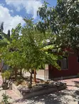 Furnished 1-Bedroom Apartment for Rent in Mikocheni - 5