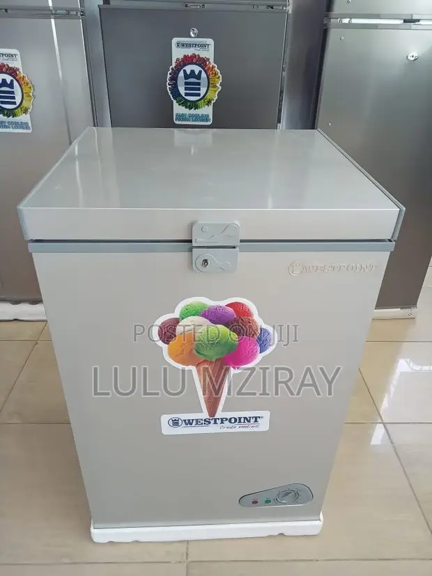 Freezer Westpoint 100L WBFL 1123 - 1