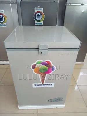 Freezer Westpoint 100L WBFL 1123