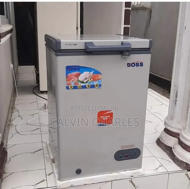 Boss Freezer 100L Chest Freezer - 1