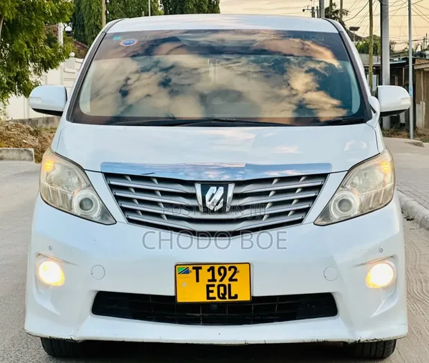 Toyota Alphard 2009 Pearl - 1