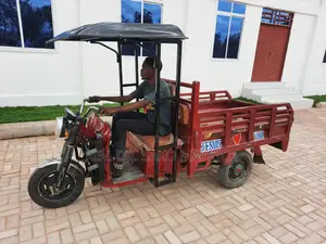 Guta Electric Tricycle 2026 Red