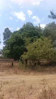 Land for Sale in Mwanza Busweru - 5
