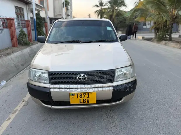 Toyota Probox 2011 Gold - 1