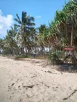 Beach Land for Sale USD 3,500,000 at Dege Kigamboni, Dar Es Salaam - 5