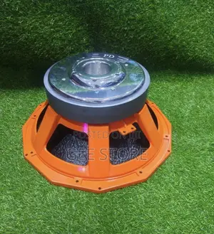 18-Inch Professional Naked Woofer Speaker
