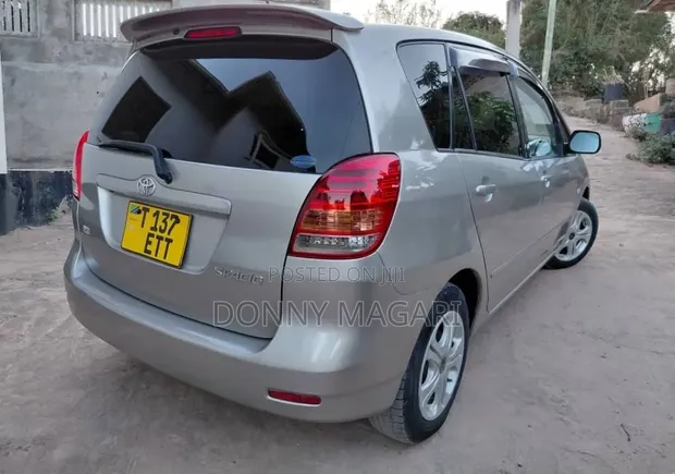 Toyota Corolla Spacio 2006 Dhahabu - 1