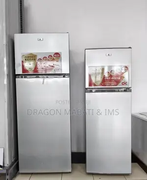 Friji Kubwa Mpya - Rangi ya Silver