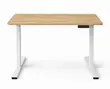 Adjustable Working Table 120x60cm - 1