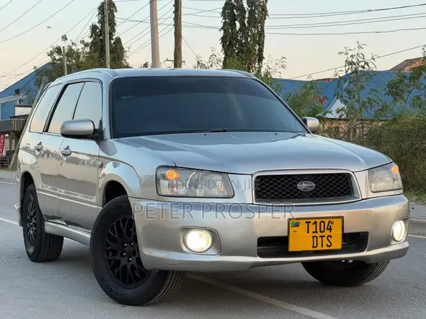 Subaru Forester Crossport 2004 Silver - 1