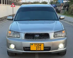 Subaru Forester Crossport 2004 Silver