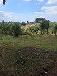 Viwanja vya Ardhi Vinauzwa - Kibaha Mbwawa - 2