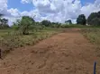 Viwanja vya Ardhi Vinauzwa - Kibaha Mbwawa - 4