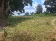 Viwanja vya Ardhi Vinauzwa - Kibaha Mbwawa - 5