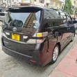 Toyota Alphard 2009 Zambarau - 3