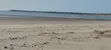 Pangani Beachfront Land for Sale (6 Acres) - 4
