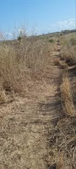 5 Acre Farm for Sale, Kiwangwa Bagamoyo - 2