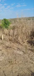 5 Acre Farm for Sale, Kiwangwa Bagamoyo - 3