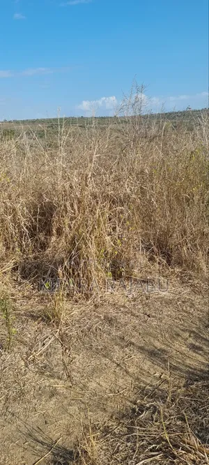 5 Acre Farm for Sale, Kiwangwa Bagamoyo