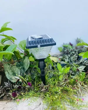 RGB Solar Garden Light with Remote