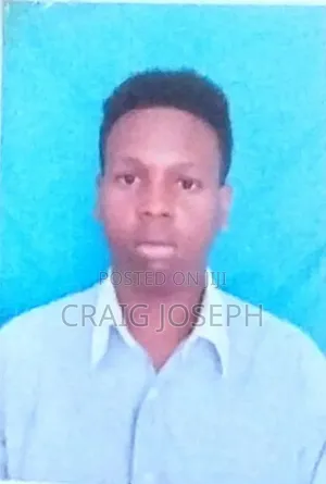 Meneja Mzoefu wa Mauzo na Masoko ya Mitandaoni
