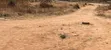 Plot for Sale in Dodoma - Nzuguni - 3