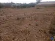 Kiwanja Kinauzwa Iringa Mjini, Kibwabwa - 2
