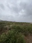 Industrial Plot for Sale in Kibaha Town - 2
