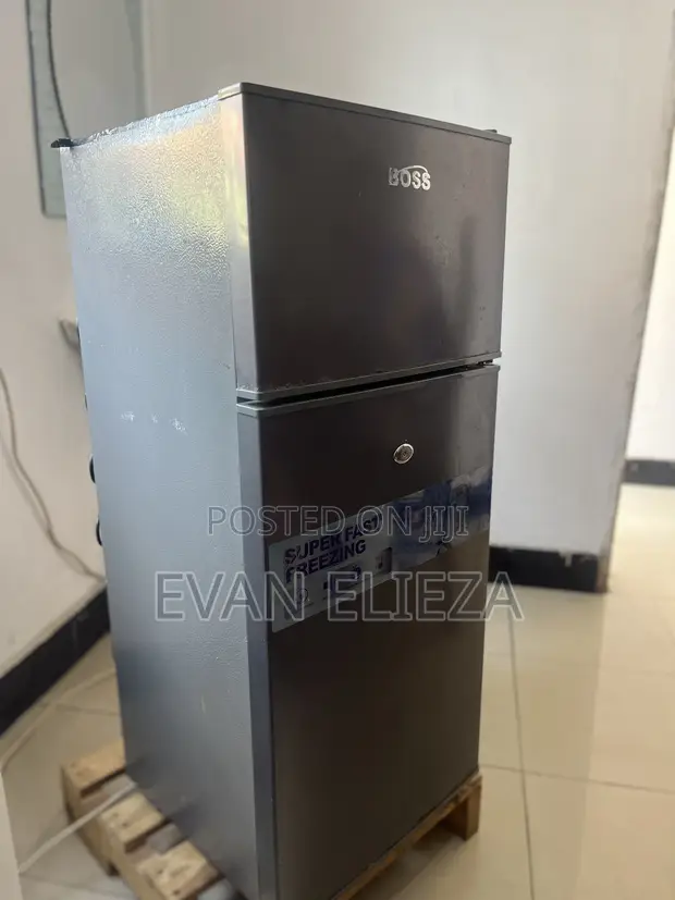 Boss Fridge 100 Litres - 1