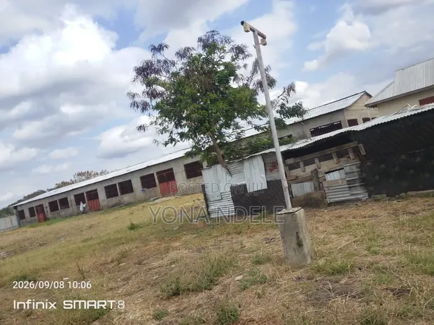 Farm Land for Sale - Bagamoyo (Msata) - 1