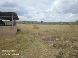Farm Land for Sale - Bagamoyo (Msata)