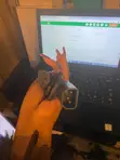 Kamba ya Nguvu ya Extension - 5M - 2