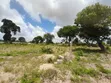 Land for Sale in Kigamboni Geza Ulole - 4