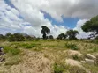 Land for Sale in Kigamboni Geza Ulole - 5