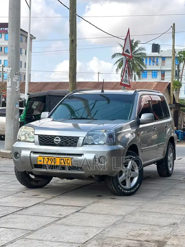 Nissan X-Trail 2.0 2008 Beige - 1