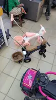 Baiskeli ya Watoto (Tricycle) - 4