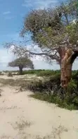 Eneo la Pwani la Prime kwa Uuzaji Saadani - 3