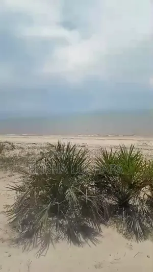 Eneo la Pwani la Prime kwa Uuzaji Saadani