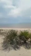 Eneo la Pwani la Prime kwa Uuzaji Saadani - 4