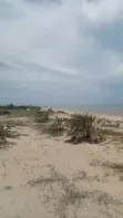 Eneo la Pwani la Prime kwa Uuzaji Saadani - 5