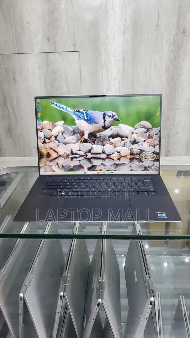 Dell XPS 15 9530 Laptop: Intel Core i7, 32GB RAM, 1TB SSD, RTX 4060 - 1