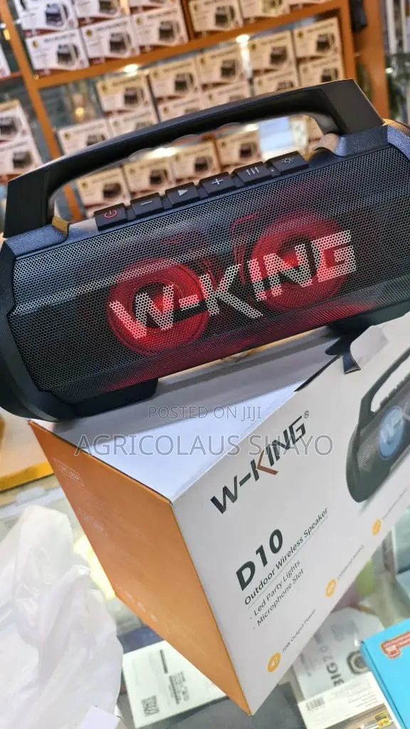 W-King D10 Outdoor Wireless Speaker - 1