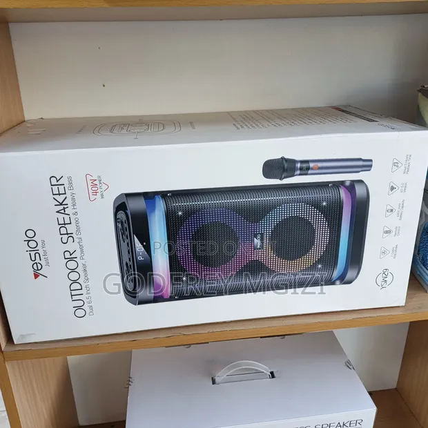 Outdoor Speaker with Big Bass - 1