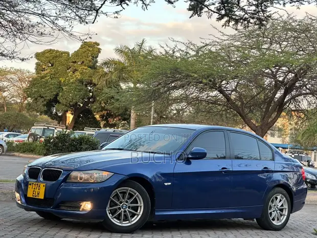 BMW 3 Series 2010 Bluu - 1
