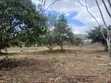 Residential Plots for Sale in Bunju A - 1