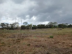 Viwanja vya Makazi Vinauzwa Bunju A