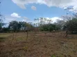 Residential Plots for Sale in Bunju A - 5