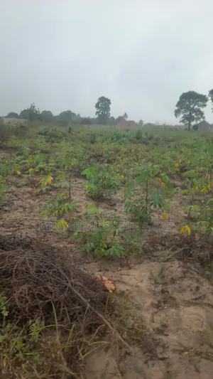 Industrial Plot for Sale - Visiga Madafu