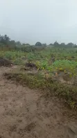 Eneo la Viwanda kwa Ajili ya Kuuzwa - Visiga Madafu - 2